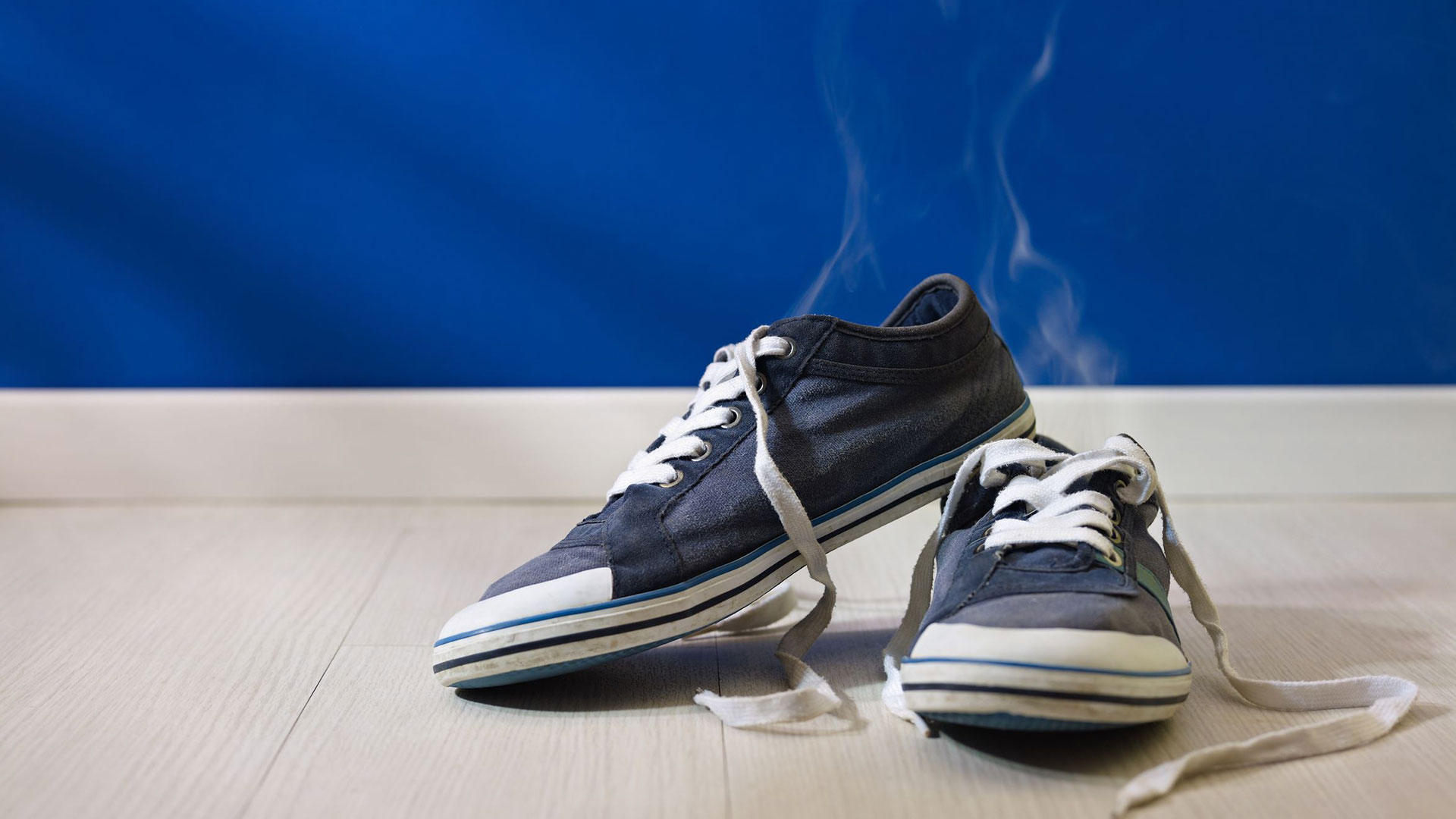 Free shoes smell outlet
