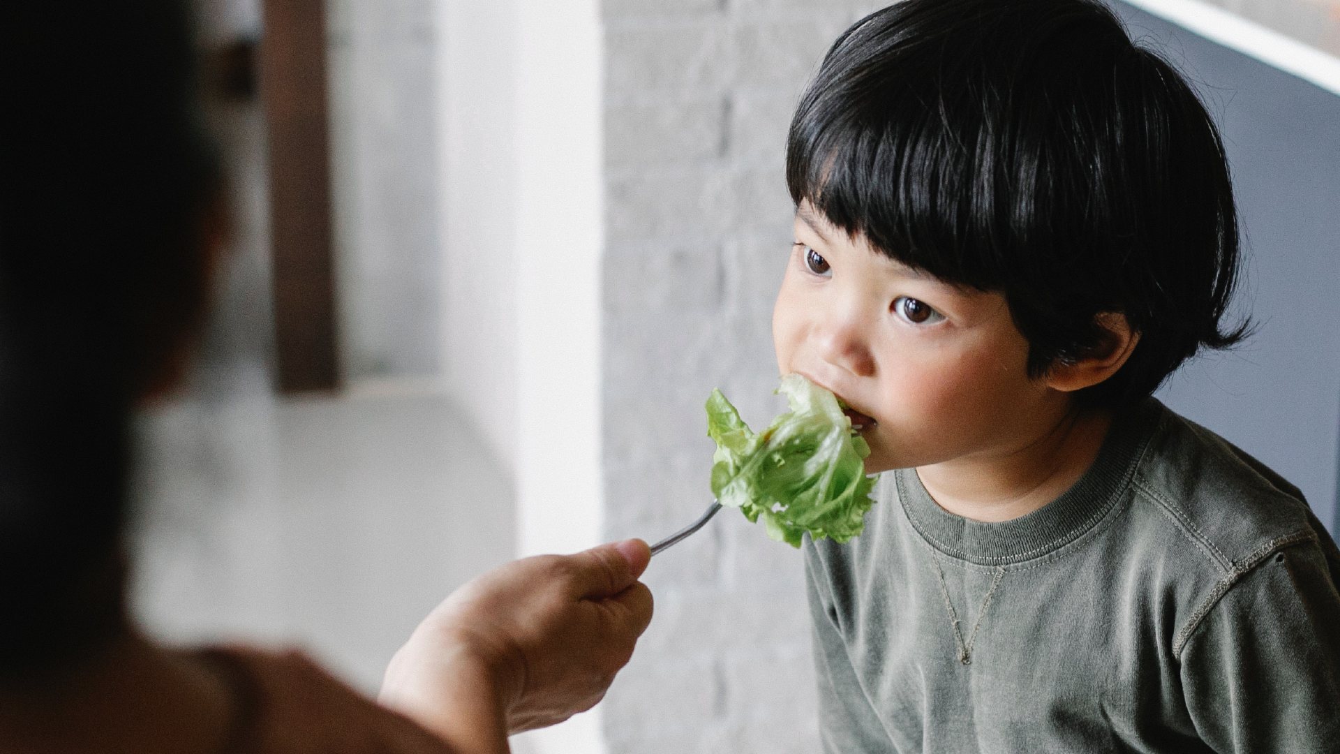 Make veggies fun for kids with these practical tips to help picky eaters enjoy greens, from cute plates and food art to cooking together.
