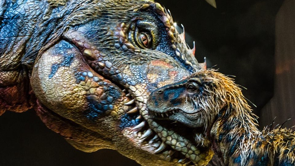Explore these events in Singapore this weekend, from dinosaur shows and Star Wars sand sculptures to mooncake celebrations, live music and immersive exhibitions.