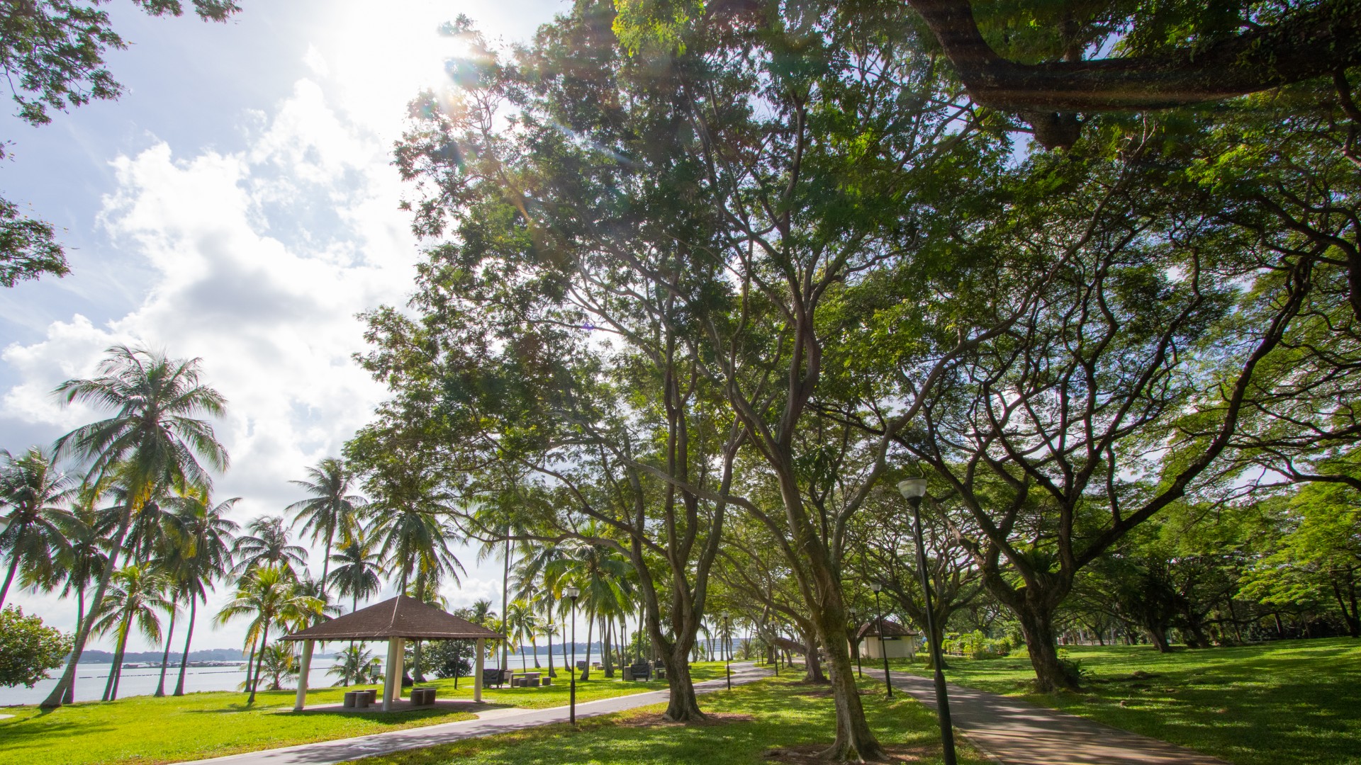 Discover 5 parks in Eastern Singapore beyond East Coast Park. From fishing ponds to eco-trails, find your next family-friendly outdoor adventure.
