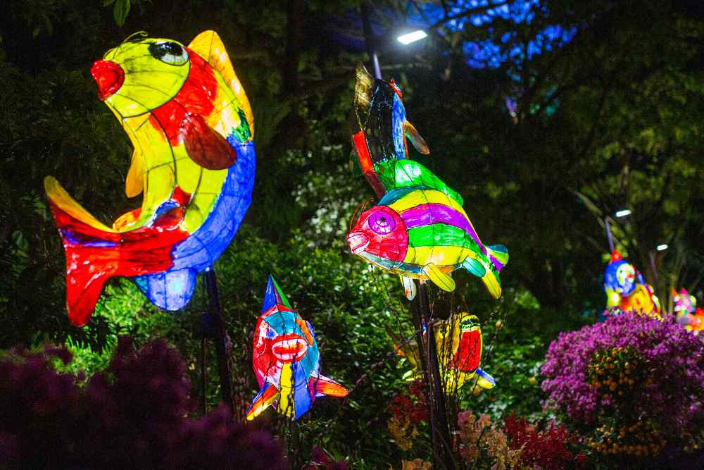 Gardens By The Bay ushers in the Chinese New Year with pyrotechnic dragon dances and horticultural displays.
