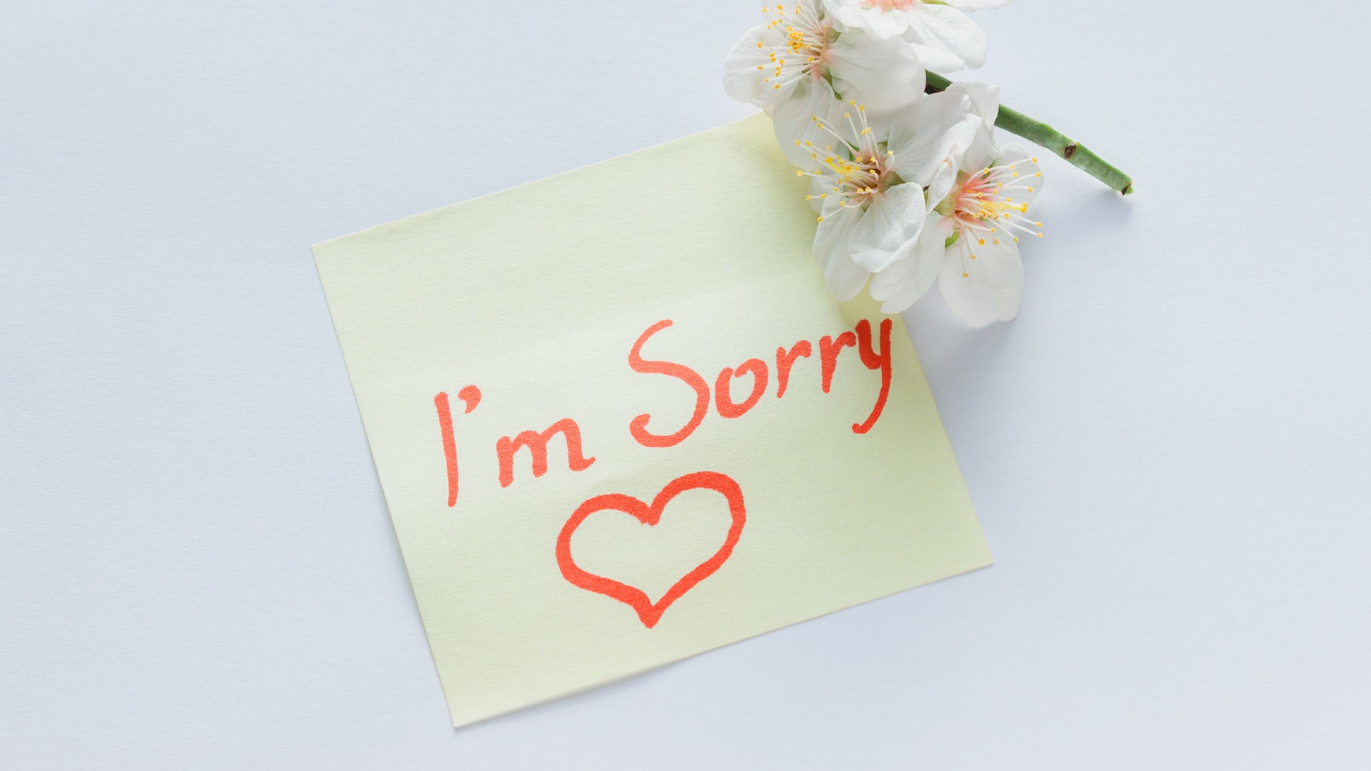 A good apology is more than just damage control. Here’s how to convey sincerity when you’re saying “I’m sorry”.