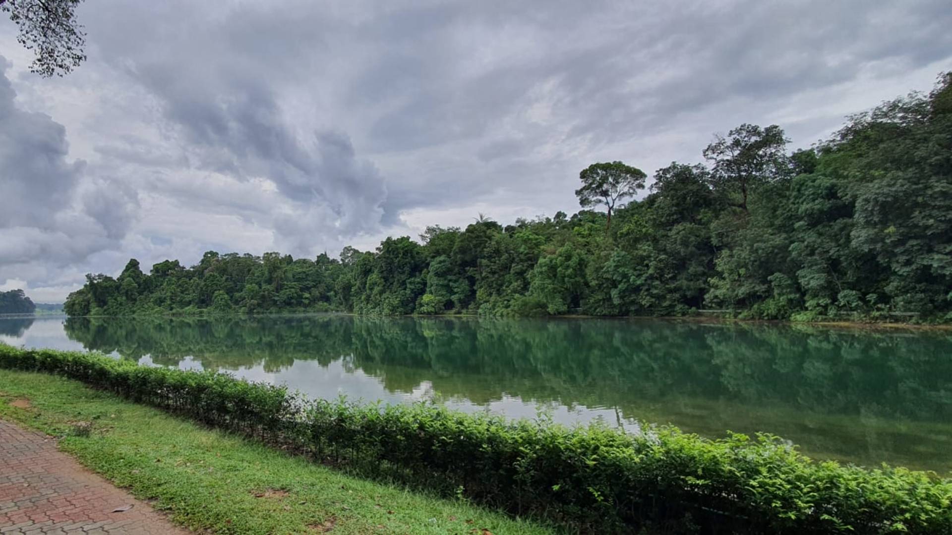 Explore MacRitchie Reservoir beyond the TreeTop Walk: hike scenic trails, kayak, fish, climb Jelutong Tower and walk the Submerged Boardwalk.