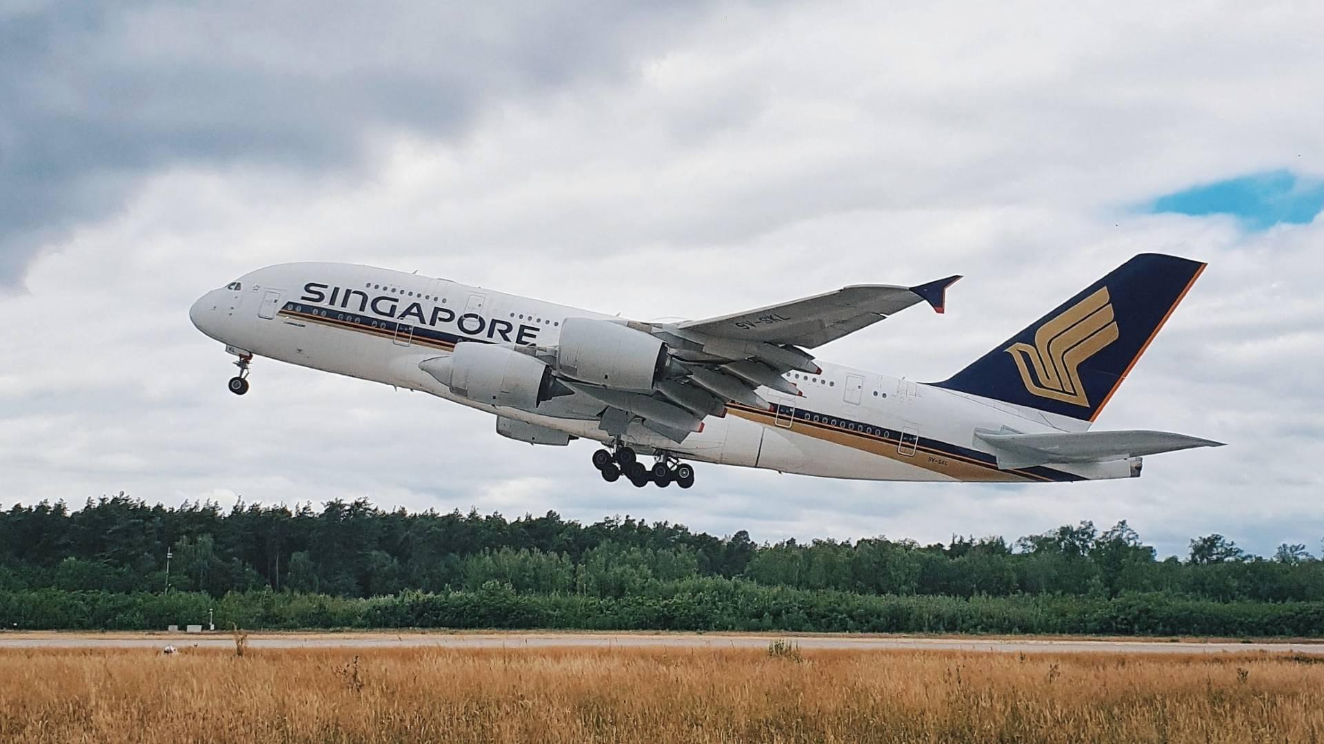 Survivors gotta survive, and we applaud all the efforts that our national carrier, Singapore Airlines (SIA), has made to boost their grounded-passenger business.