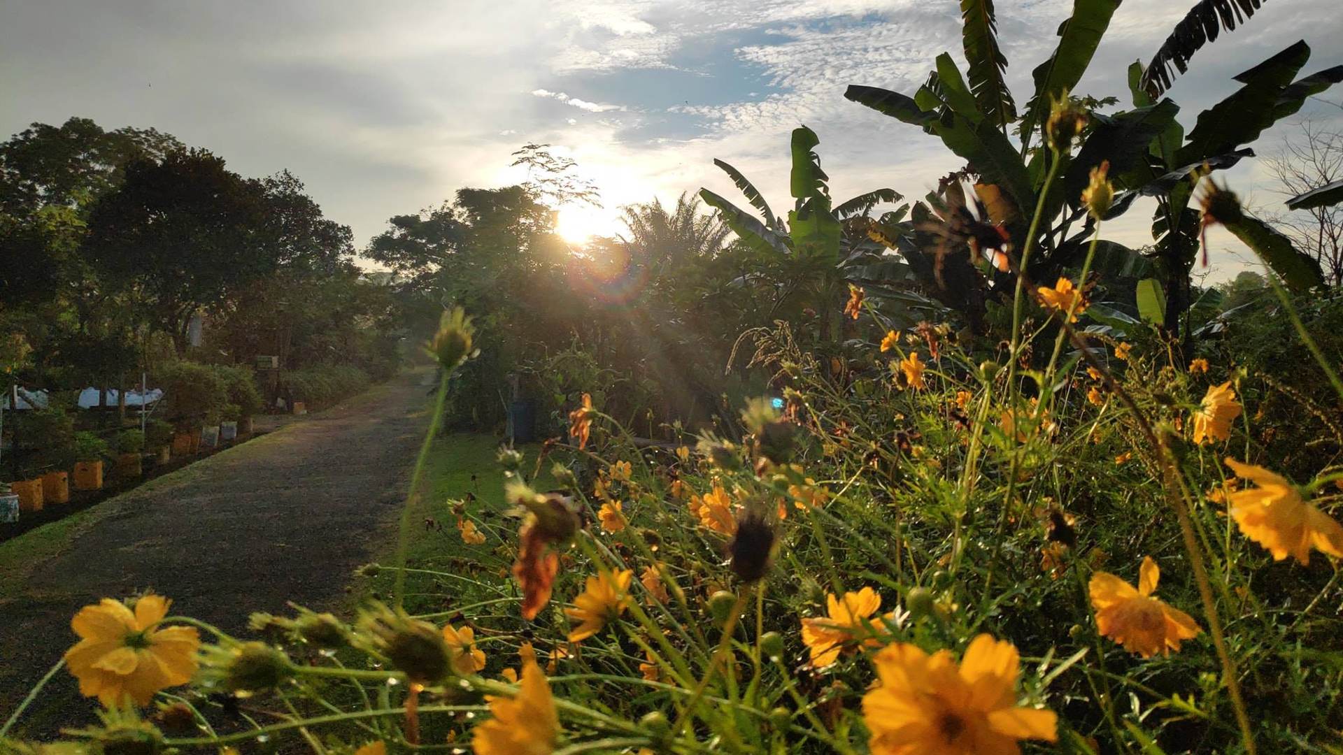 Exploring an urban farm makes for a great day out during the school holidays.