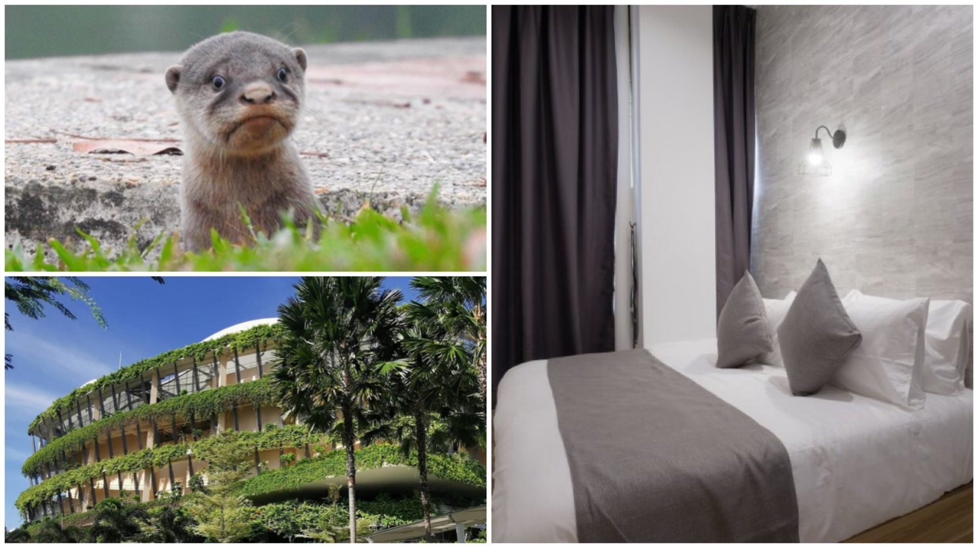 In a concrete jungle of denizens who love to eat, wouldn't it make sense to have a staycay in Bedok that brings you near to nature, and even nearer to some of the best makan spots in Singapore?