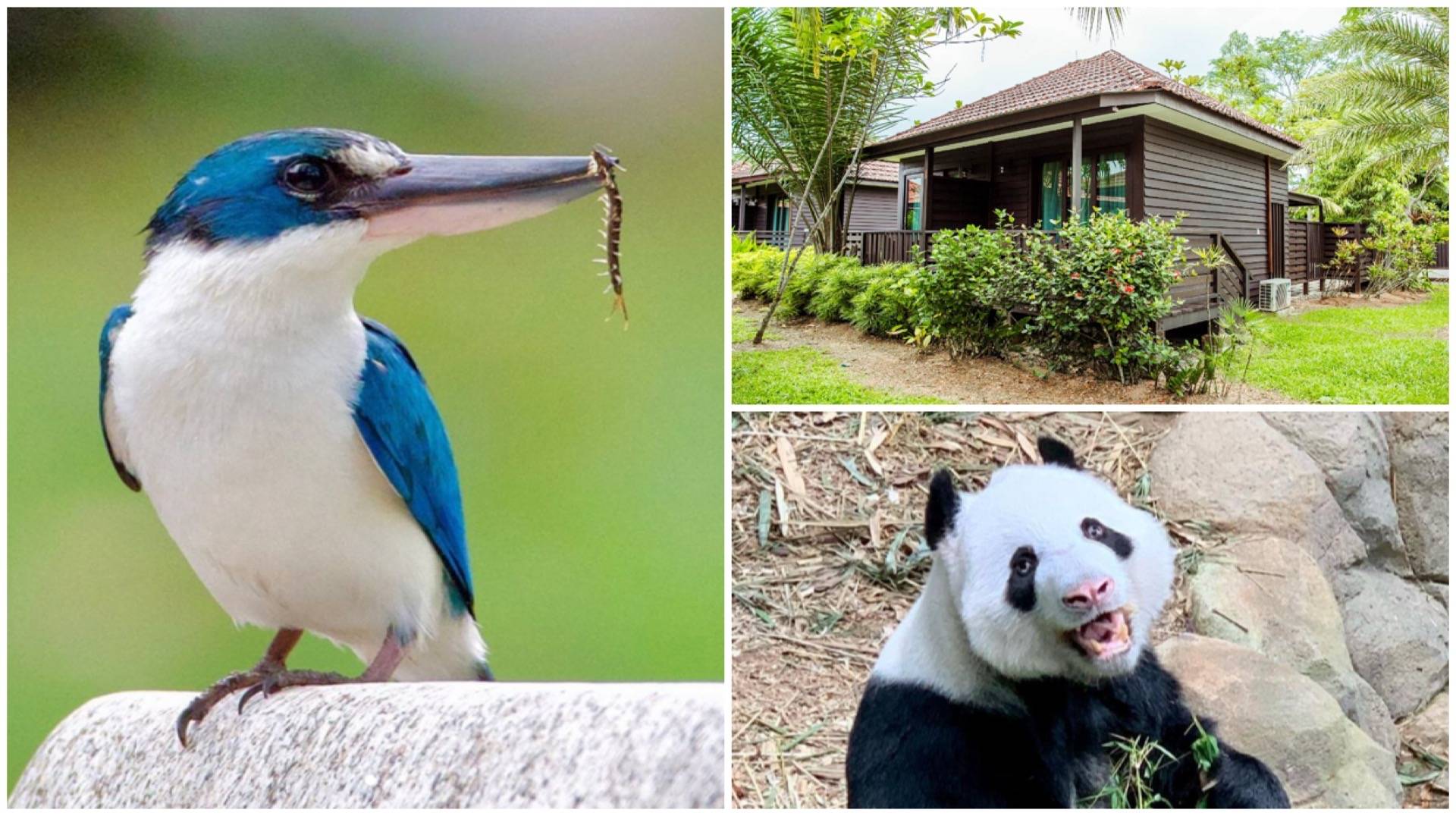 Discover Kranji farms in Singapore with this guide to farm hopping, nature trails, stays, and farm-to-table dining for a relaxing countryside daycation.