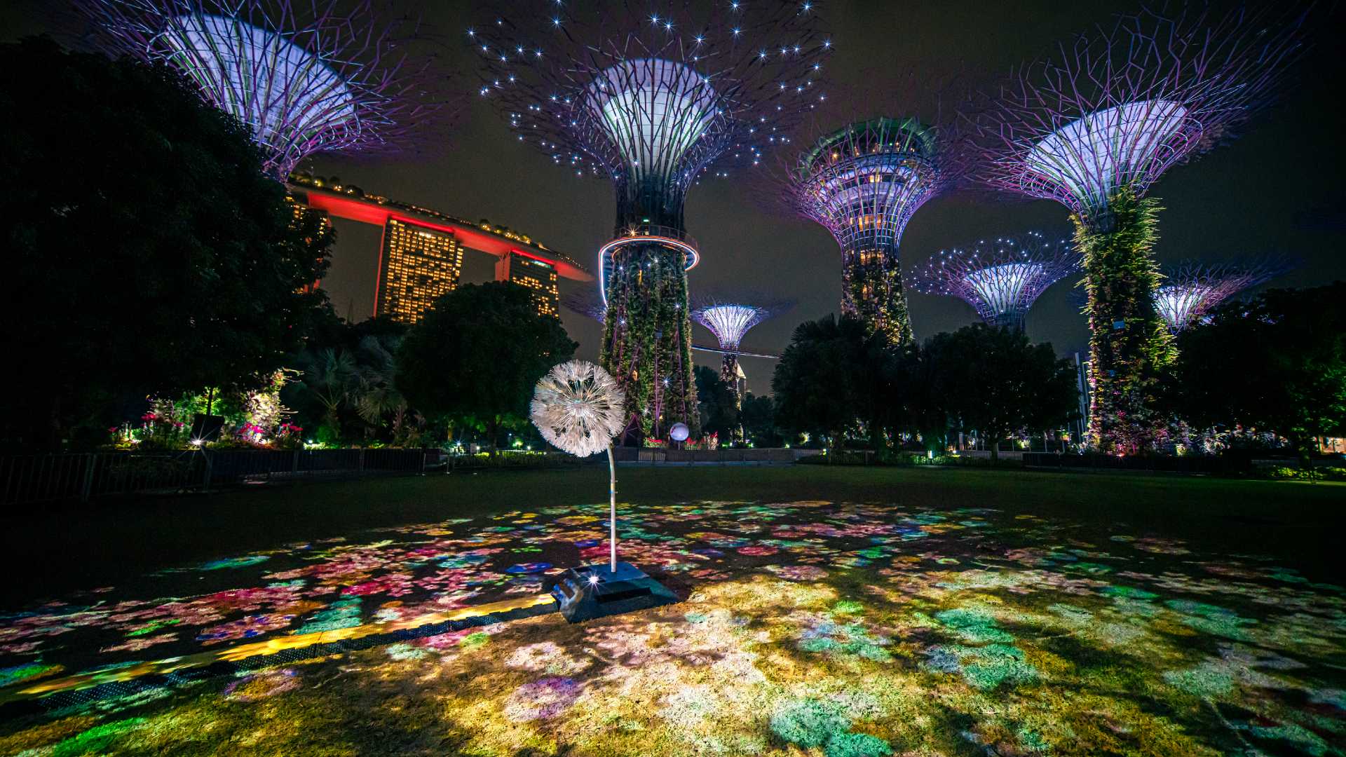 Get an early start on Christmas celebrations at Universal Studios Singapore, connect with people in Japan through a Dandelion art installation and more this weekend.