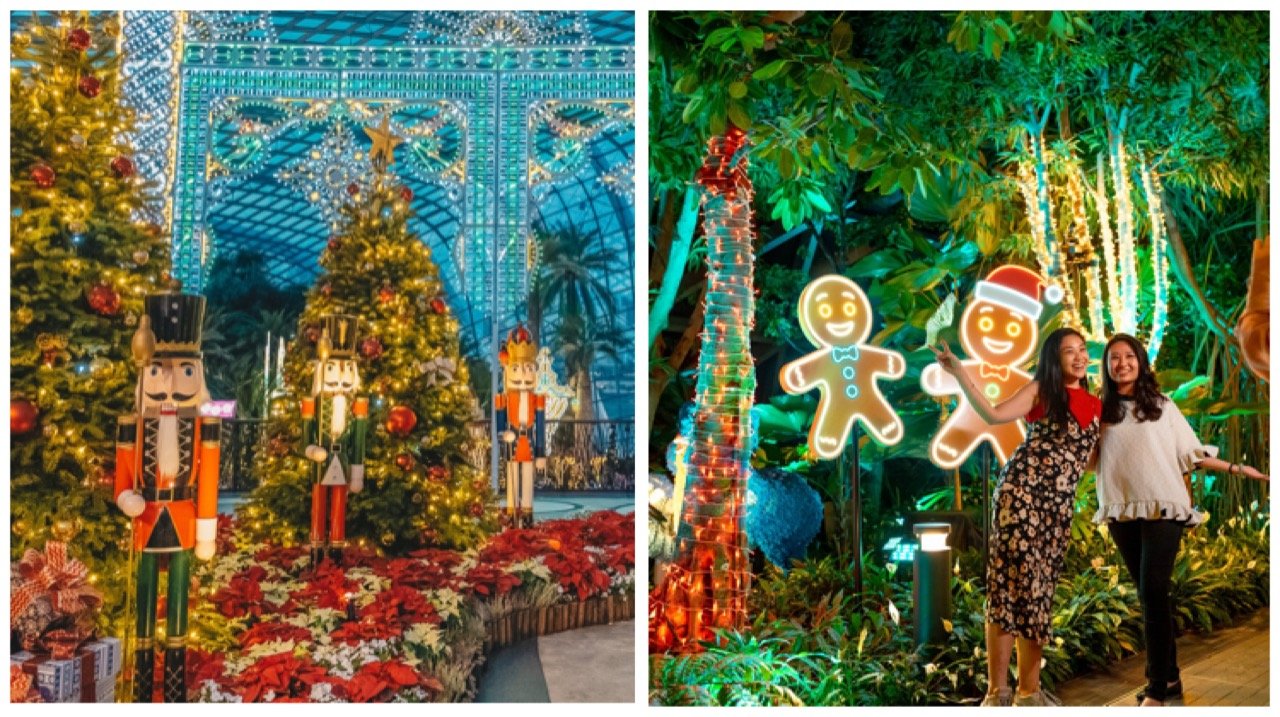 Discover the best Christmas light displays in Singapore, from Orchard Road to Gardens by the Bay and Jewel, and get into the festive spirit this season.