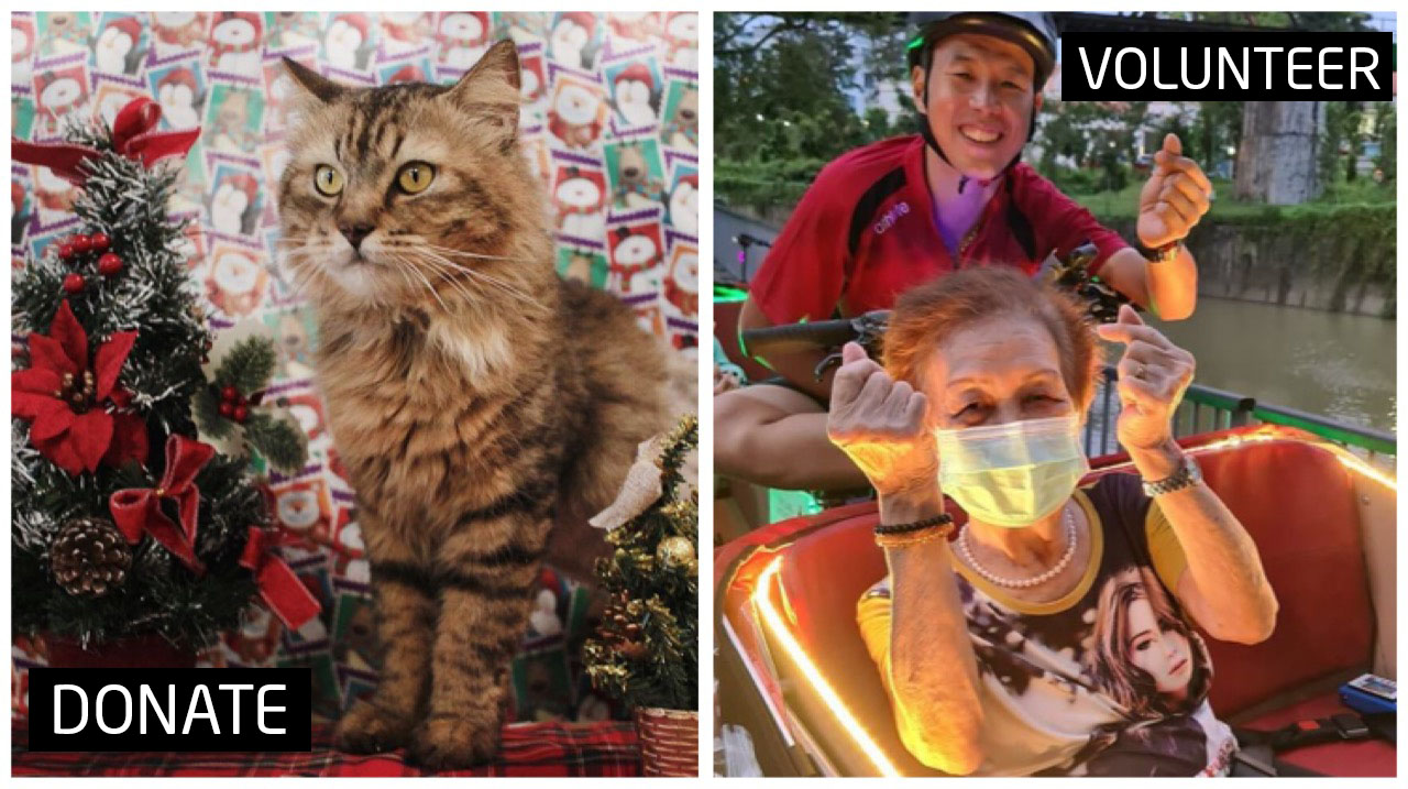 End off the year with some Christmas cheer by volunteering, donating, and serving your community.
