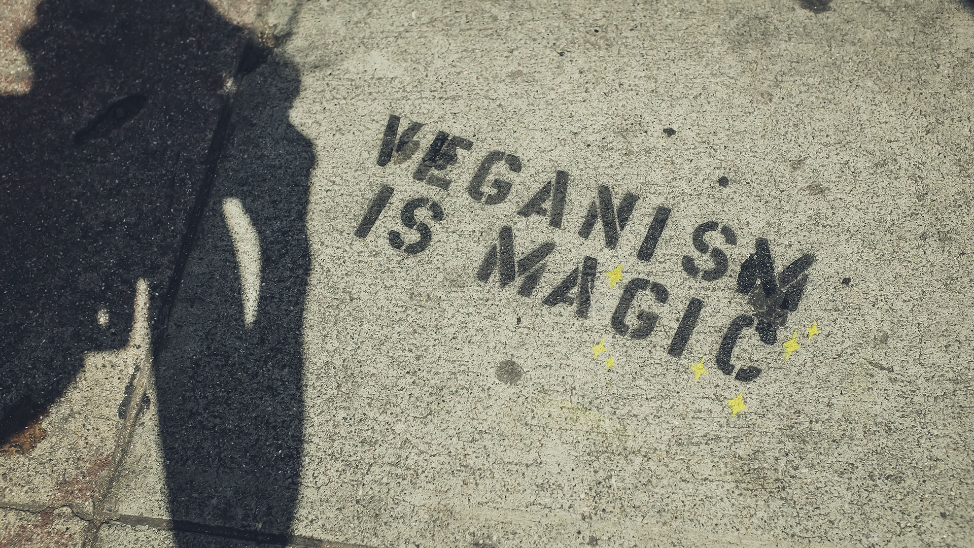 Discover these practical tips to make Veganuary sustainable, from planning meals and trying vegan alternatives to taking B12 supplements and staying motivated.
