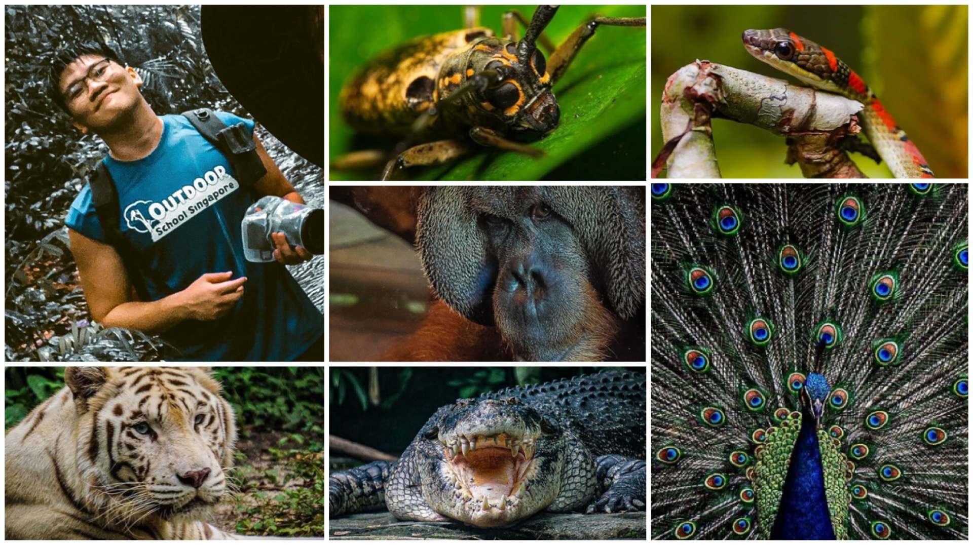 Wildlife photographer and educator Isaac Sim is on a mission to spread awareness of wildlife conservation.