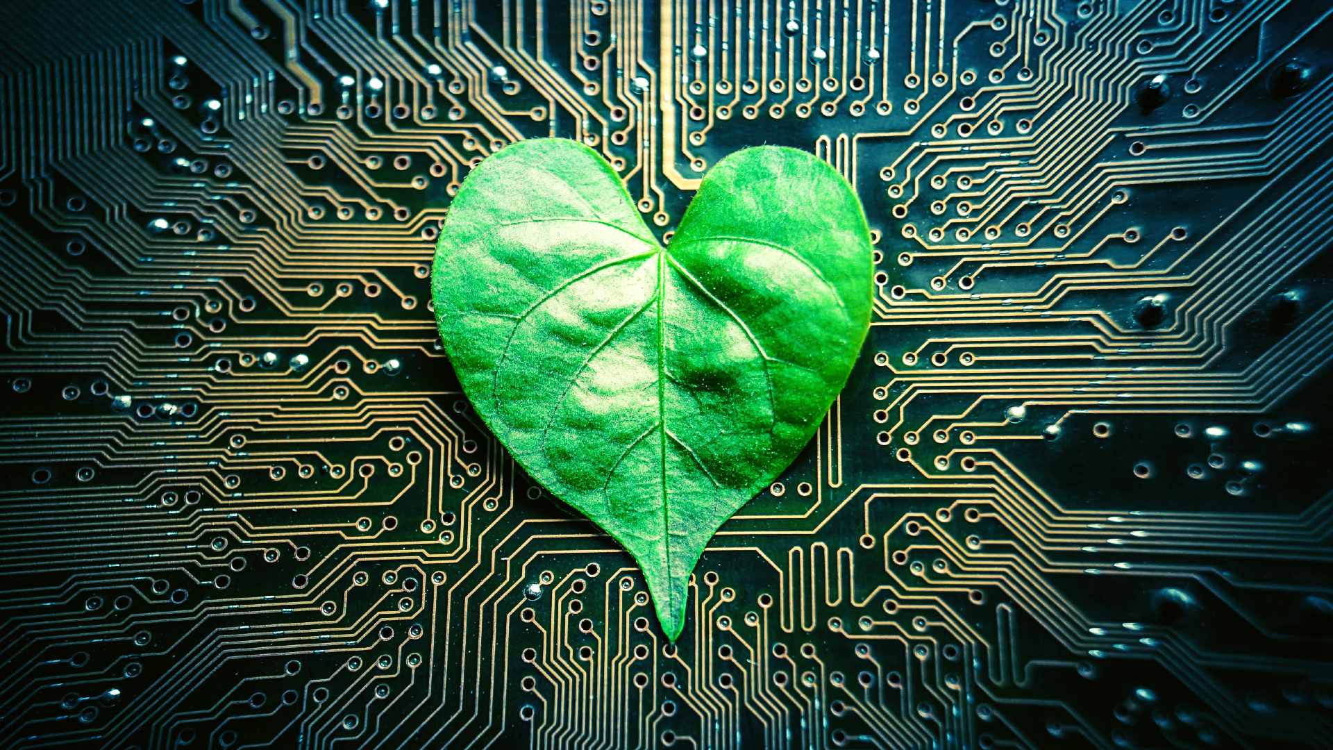 Earth Day Reflections: why Tech has to go green.
