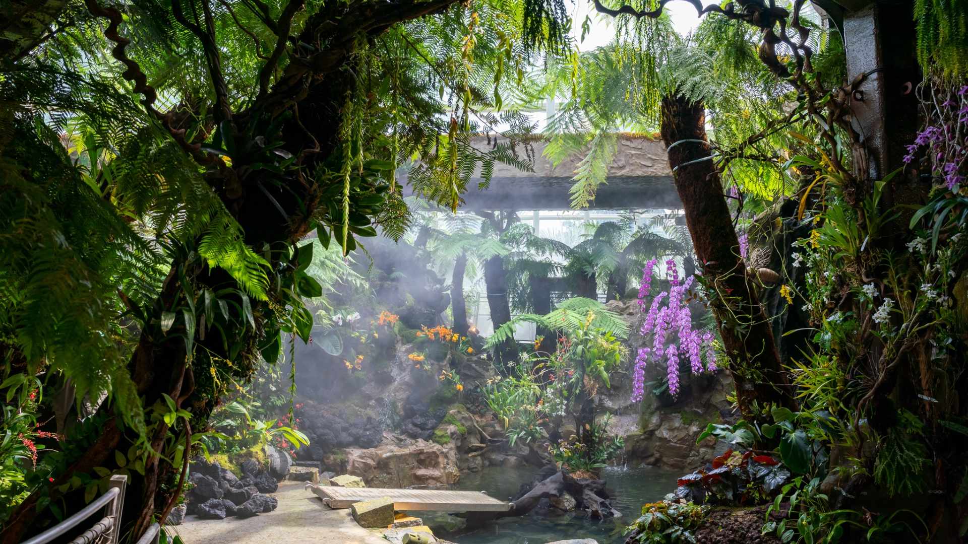 Tropical Montane Orchidetum at Singapore Botanic Gardens.