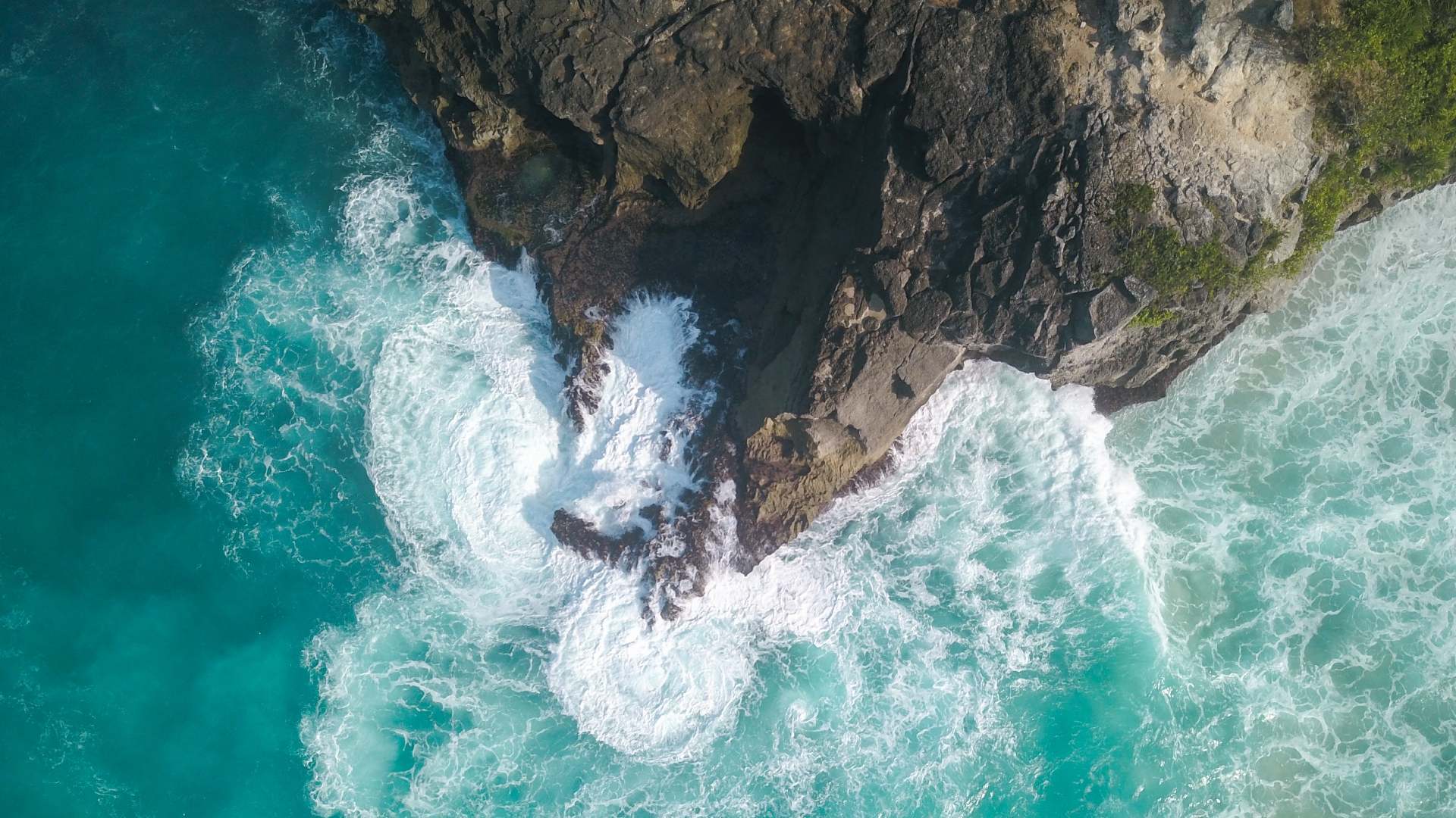 Simple ways you can help save the ocean on World Ocean Day