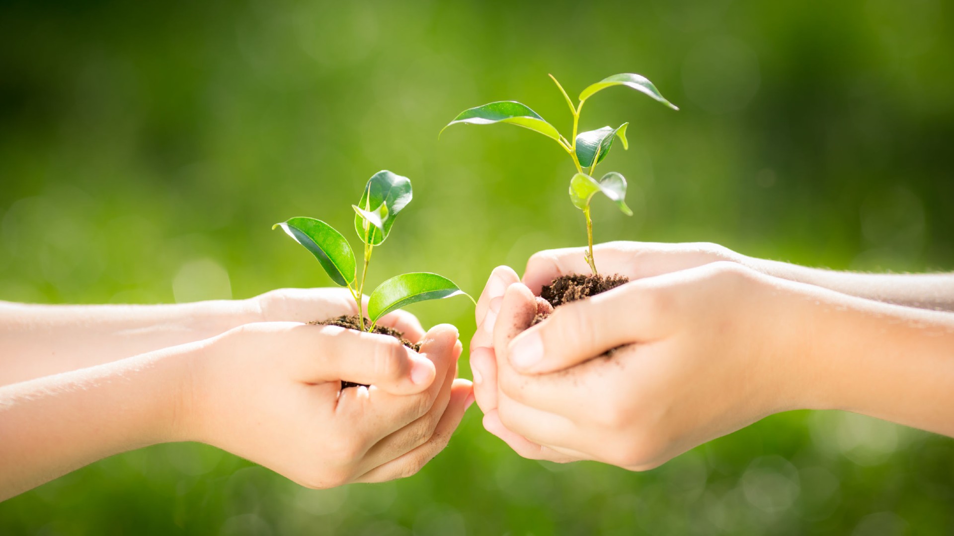 Teach kids to go green and care for the environment with these easy eco-friendly habits. Raise earth-friendly eco warriors through nature, recycling, and sustainable living tips.