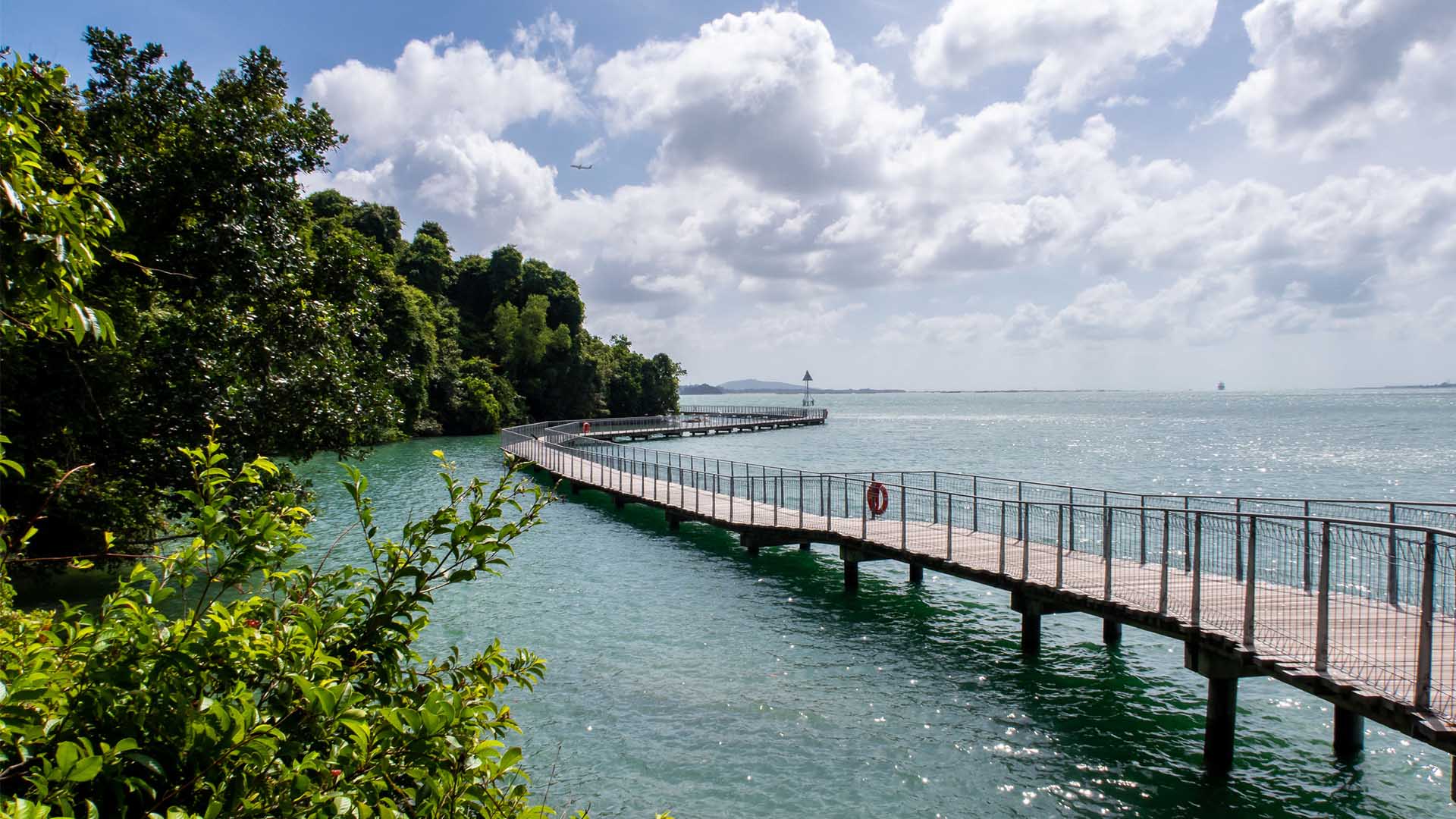 Where to bring your kids if you'd like to teach them about Singapore's environmental initiatives.