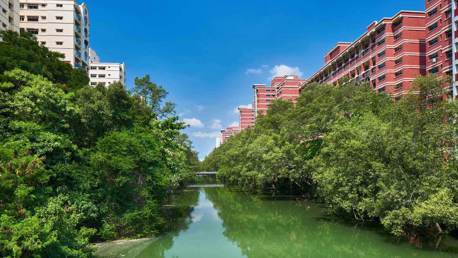 Explore Pasir Ris heritage, parks, mangroves, food spots, and photo-worthy gems. Discover hidden history, fun activities, and Insta-ready locations in the East.