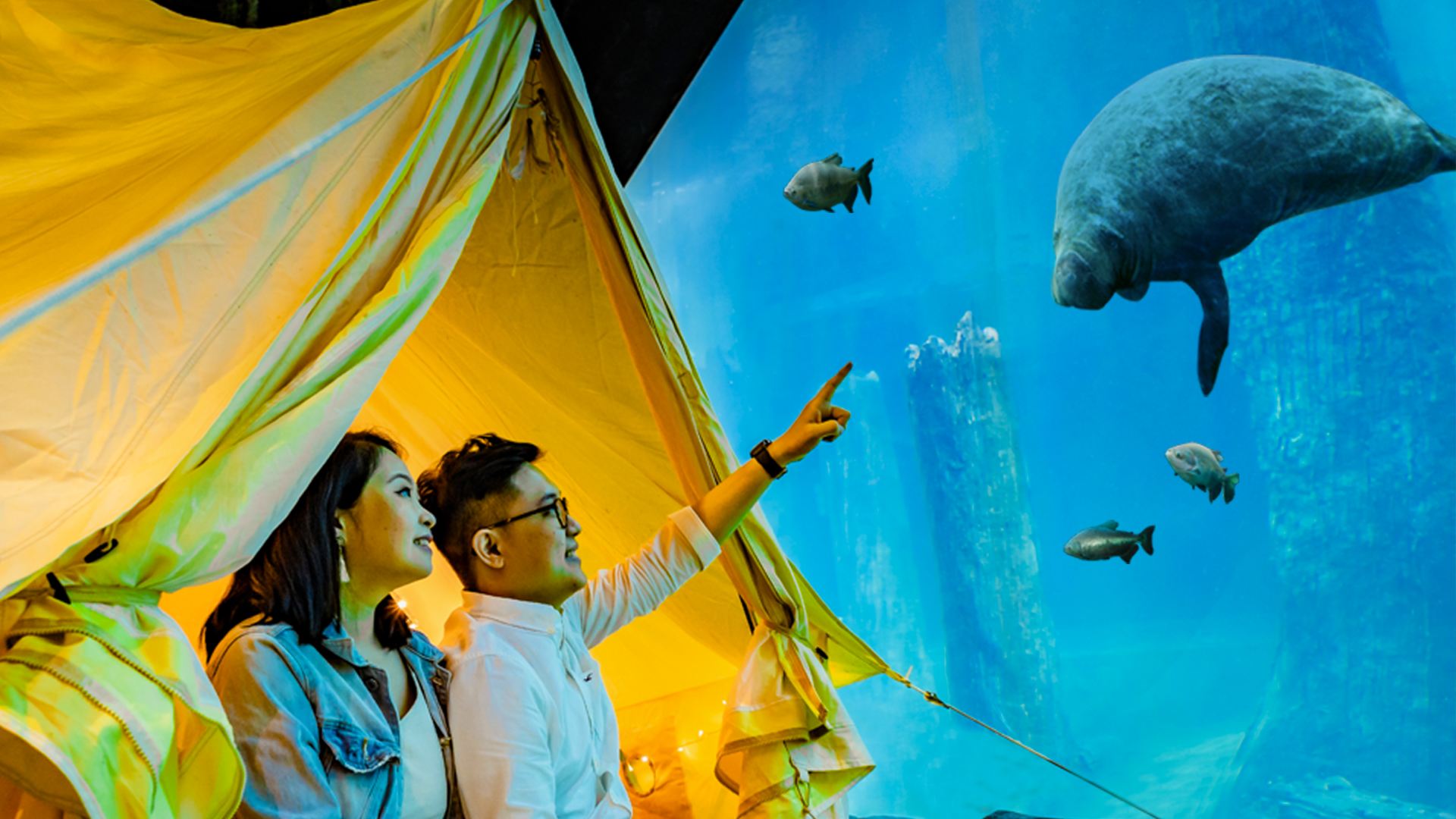 Staycation with manatees at River Wonders, Singapore.