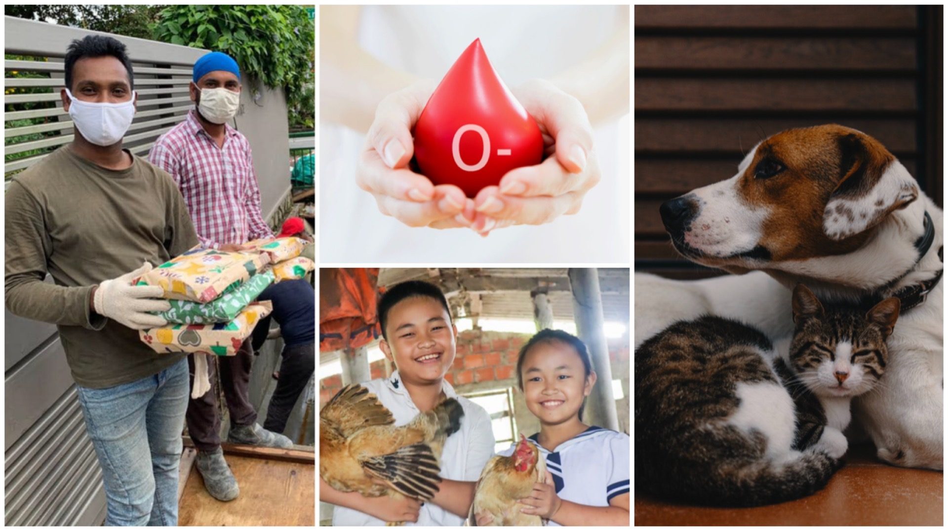 There are no better gifts to give during the festive season than love and hope. Here are some ways you can be a force for good, and bring joy and hope to those who need it the most.