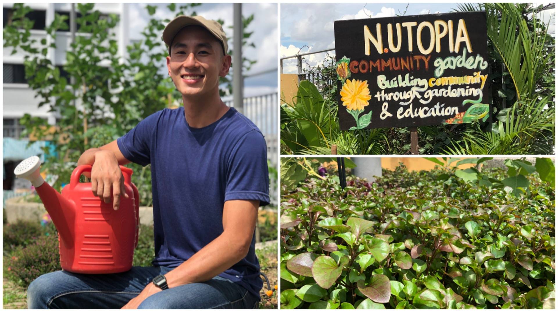 Urban farmer, Christopher Leow, is working hard at his green dream for the survival of the human race.
