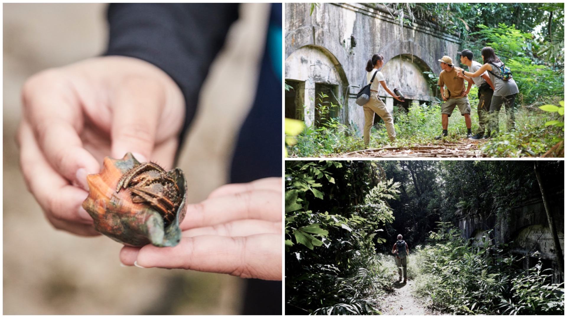 There's a new slew of Sentosa tours that offer wild encounters and time travel.