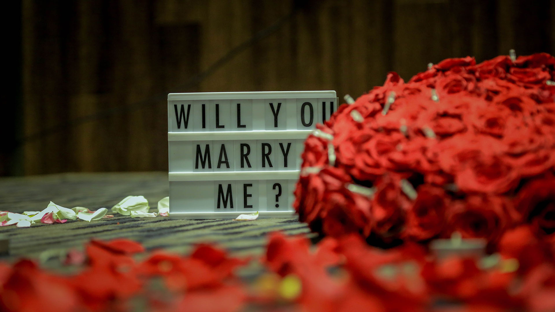 Discover 7 dreamy proposal spots in Singapore, from scenic parks to romantic cruises, for a picture-perfect “I do” moment. Get down on one knee in these idyllic places.