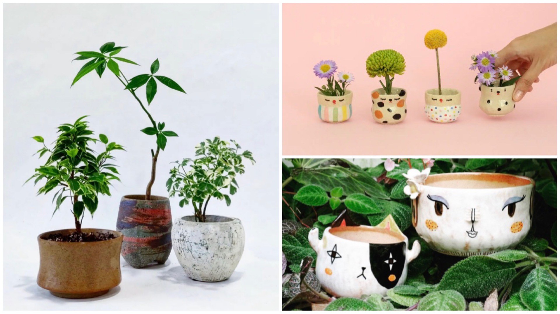Up your home gardening game by simply changing up your pots and planters.