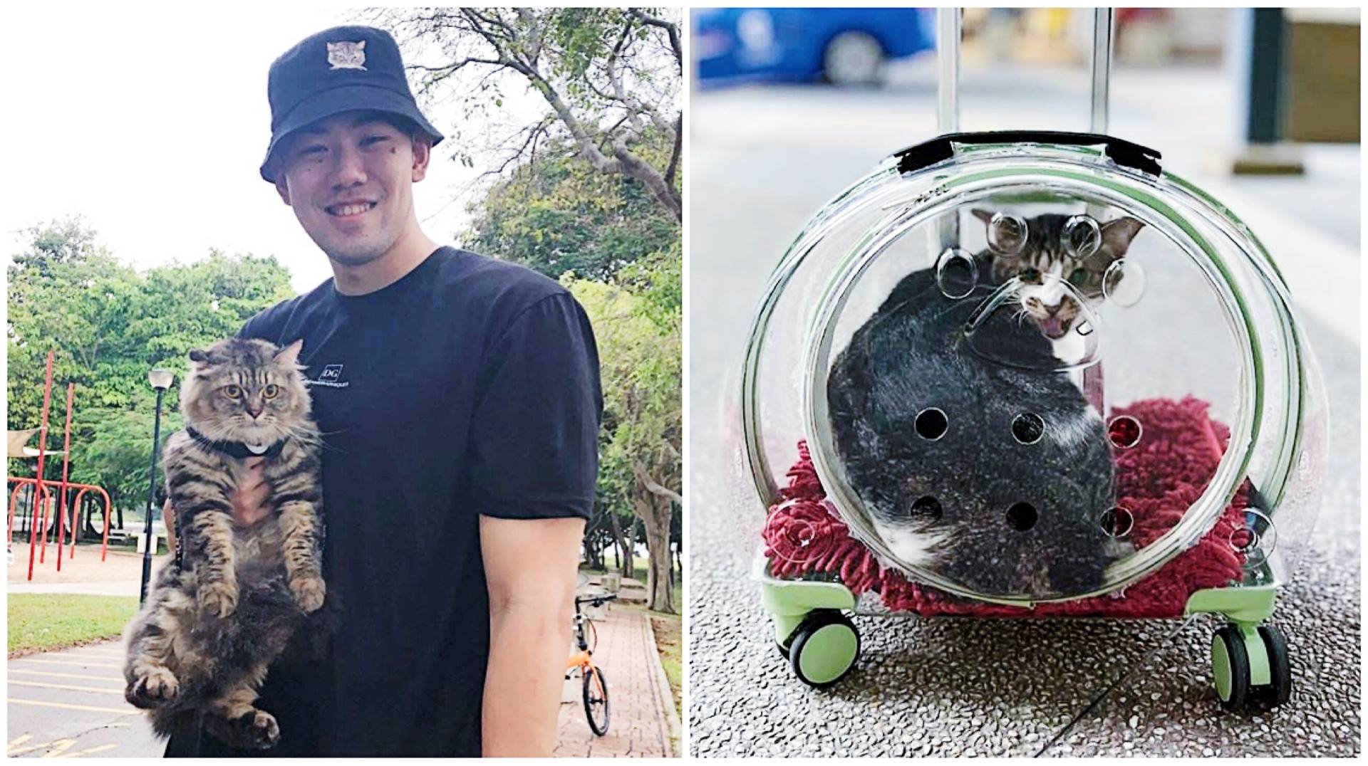 Take a meow-ment to appreciate how Singapore Slingers basketball player Delvin Goh has transitioned purr-fectly from being a star sportsman to hustling as an entrepreneur with La Chariot, a pet trolley business.