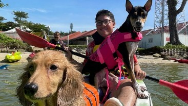 Paw-ddle Kayaking Paw-ddle Kayaking.