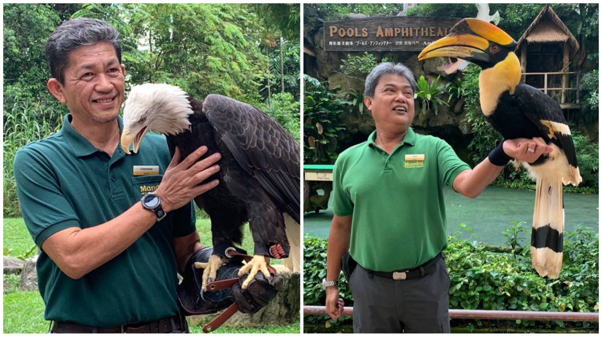 Clarence Saw and Mohammad Saad have worked at Jurong Bird Park since the 1980s.