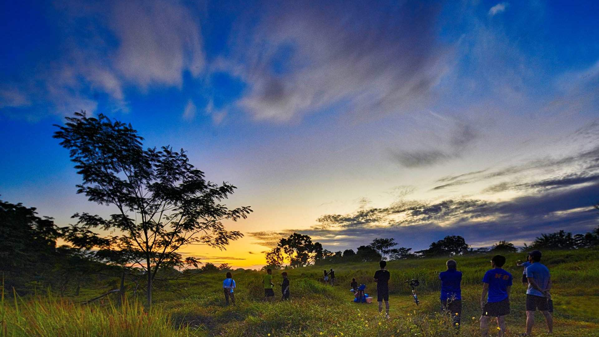 Wake up early to bask in the sunrise at Ulu Sembawang Park Connector, one of the National Heritage Board's Woodlands Heritage Trail sites.