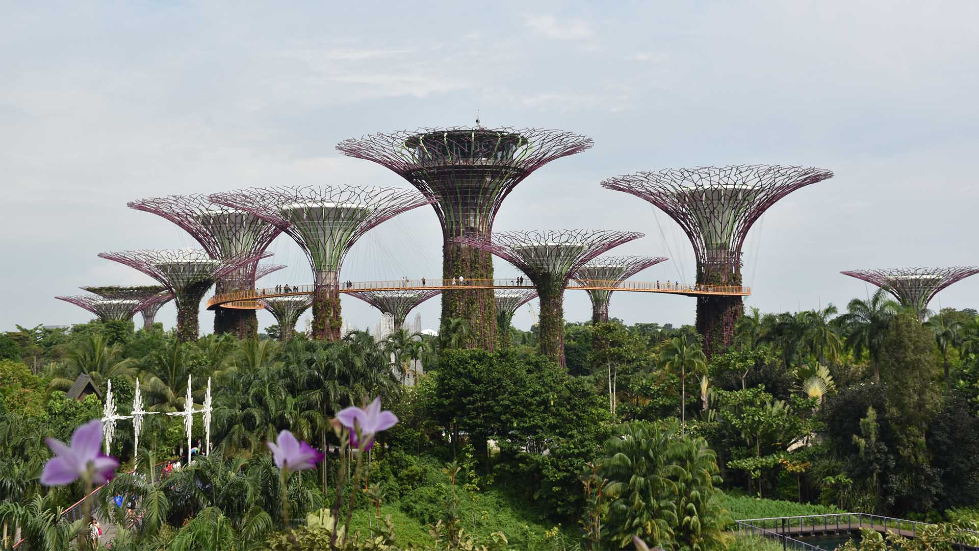 Tanglin, Great World, Gardens by the Bay, and more locations you can easily reach via MRT, thanks to the newly-opened Thomson-East Coast Line Stage 3 (TEL3) stations.