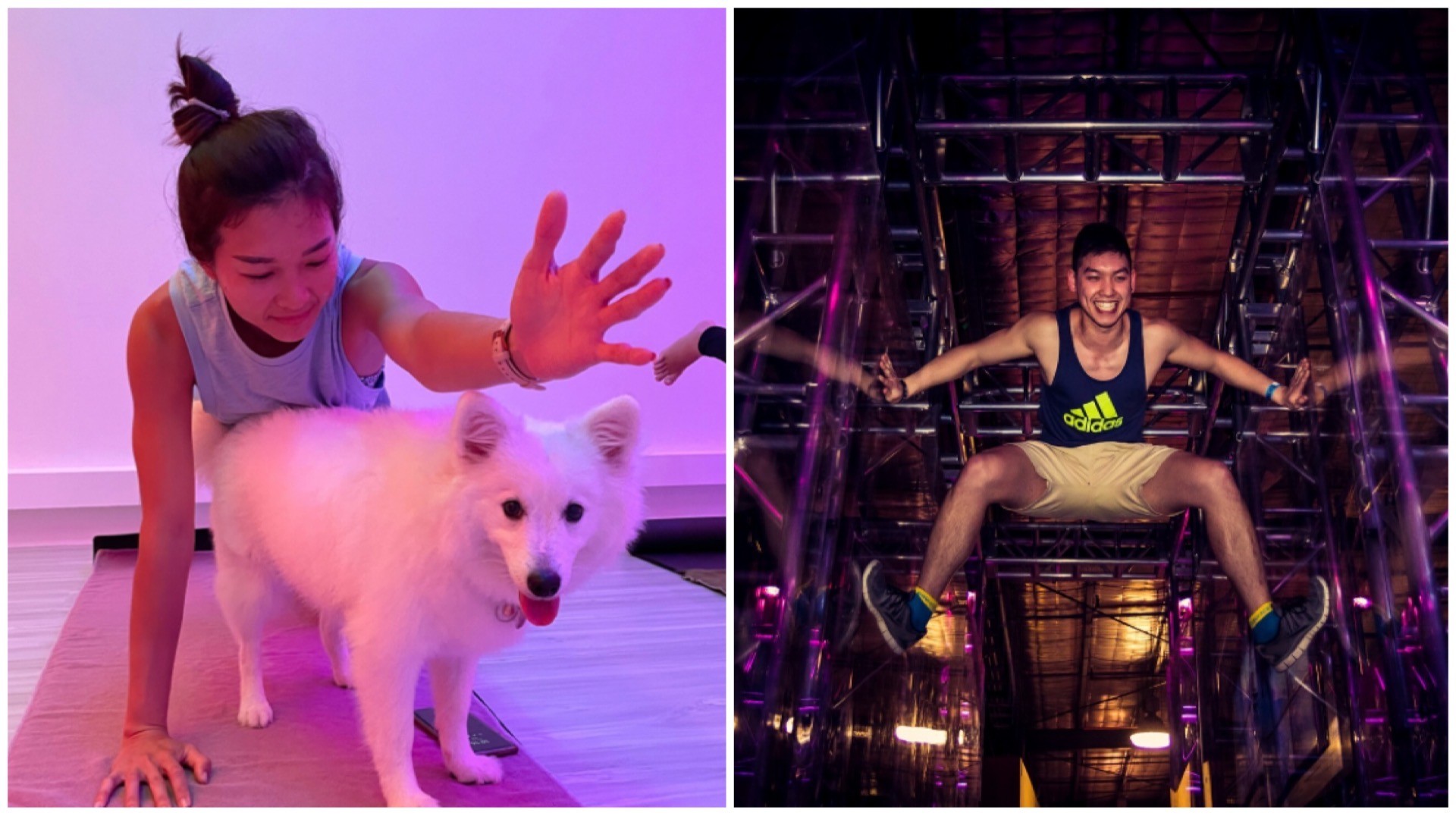 Involve your furkid at Puppy Yoga Singapore or challenge yourself at BOUNCE Singapore’s obstacle course.
