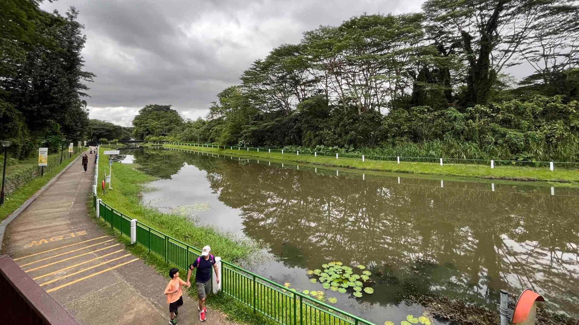 Like many parks in Singapore, Springleaf Nature Park offers a peaceful respite from the city.