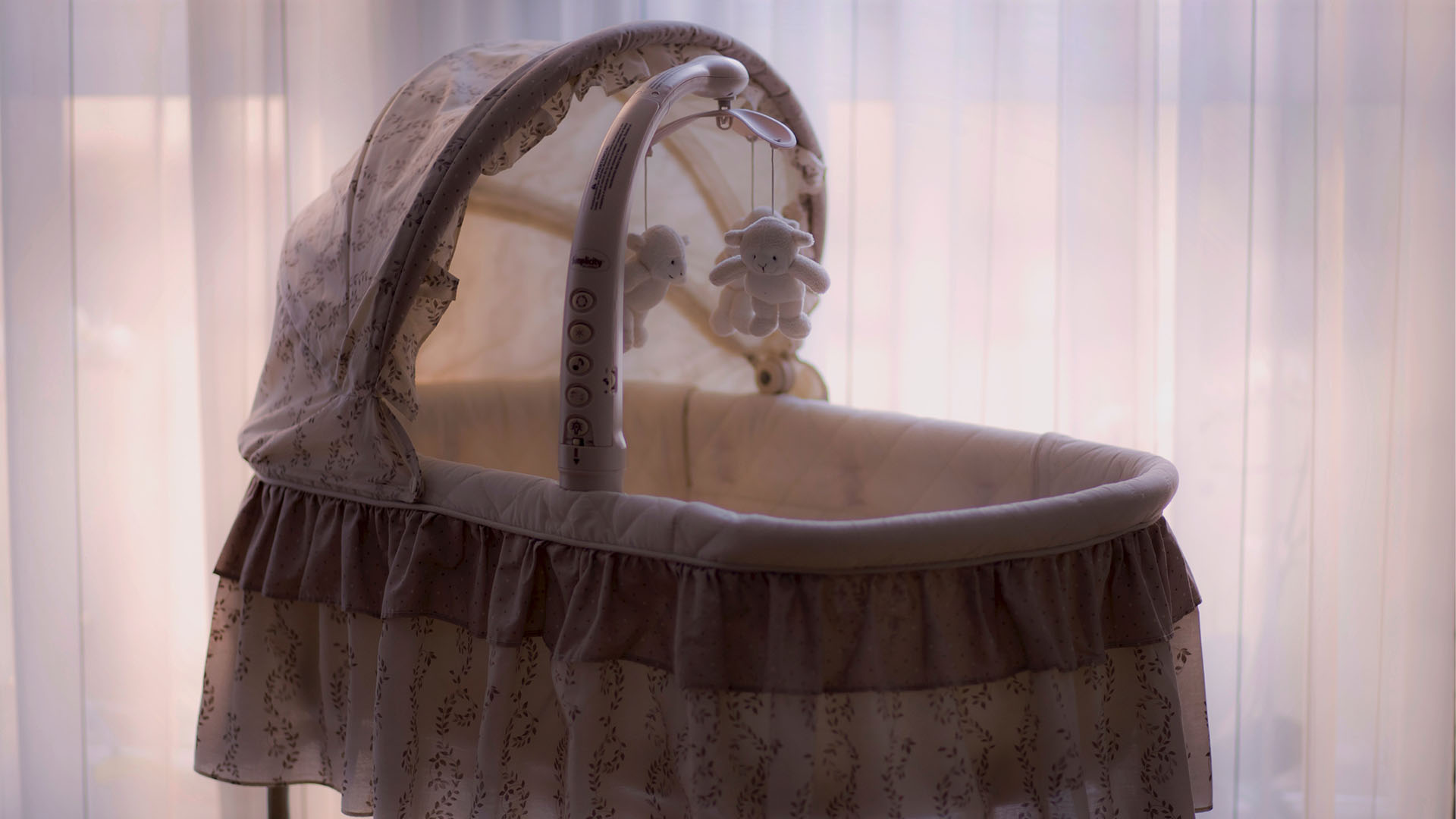 Bassinet sales second hand