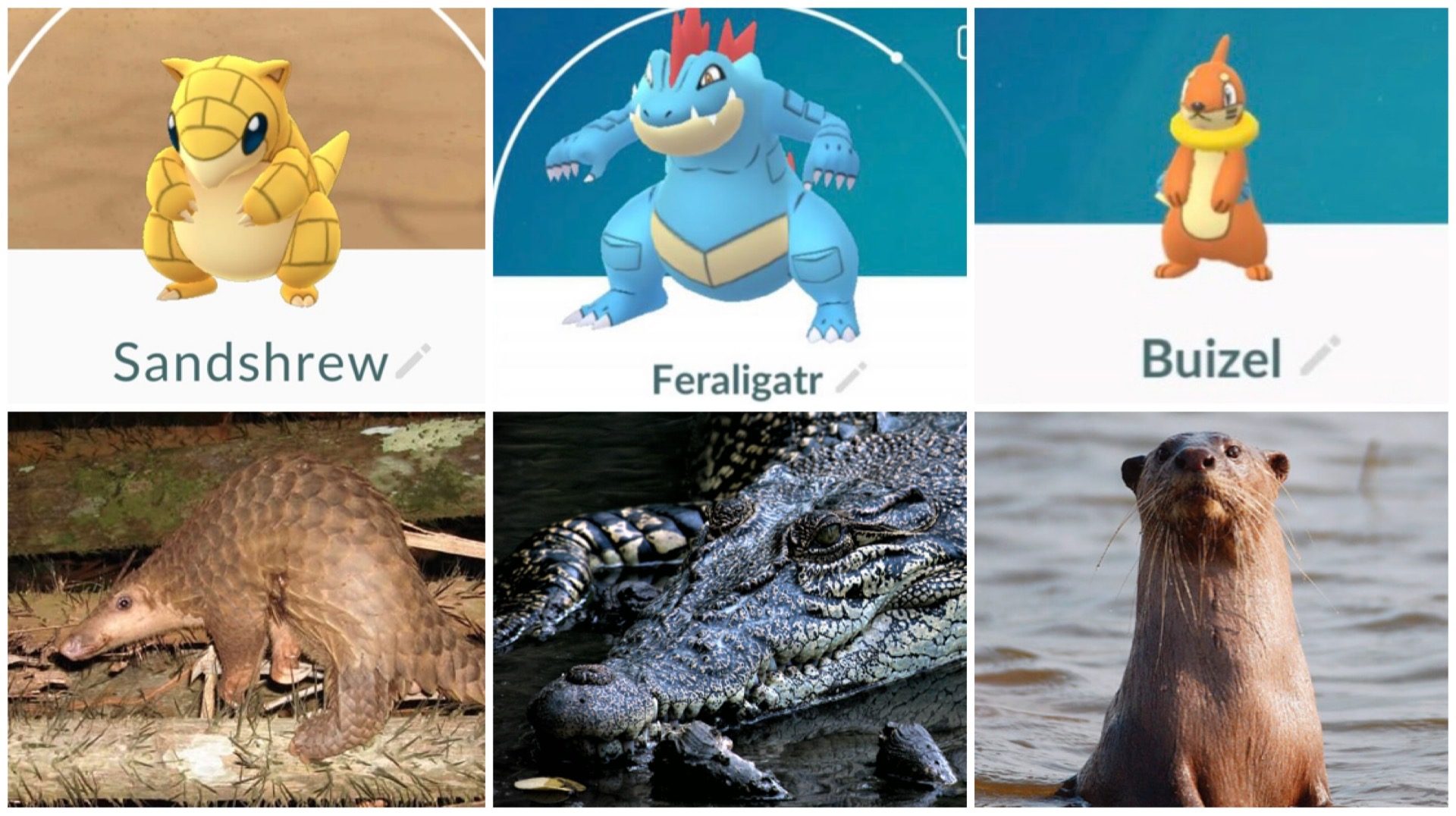 Discover real-life Pokémon in Singapore, from bats and otters to pangolins and tree snakes. Learn where to spot them and how to appreciate wildlife responsibly.