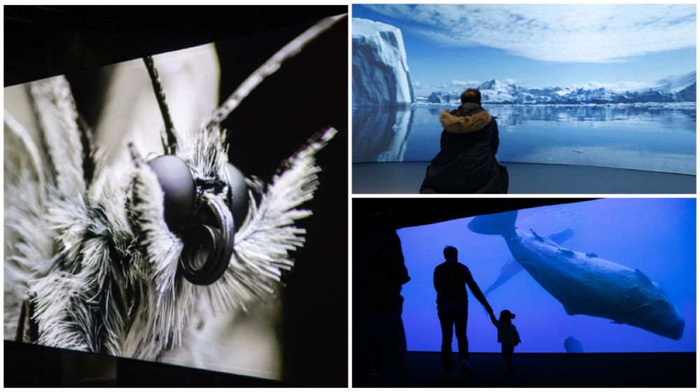 Some of the ecosystems at ArtScience Museum's "Sensory Odyssey: Into the Heart of Our Living World".