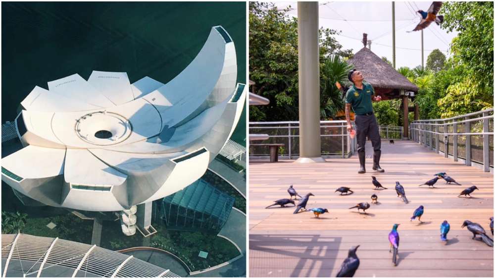 Local attractions with Singaporeans' stamp of approval.