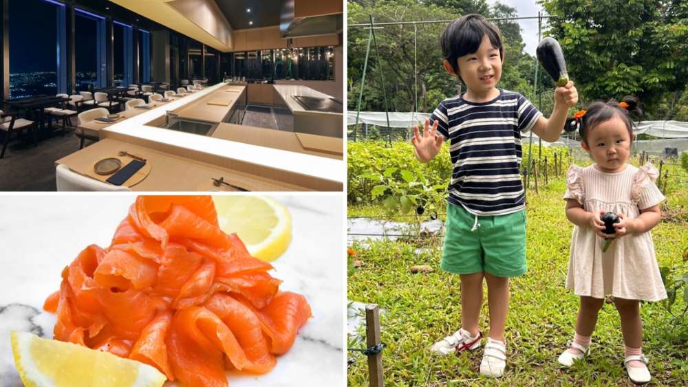 Help pave the way towards a better future for generations to come by eating more sustainably.
