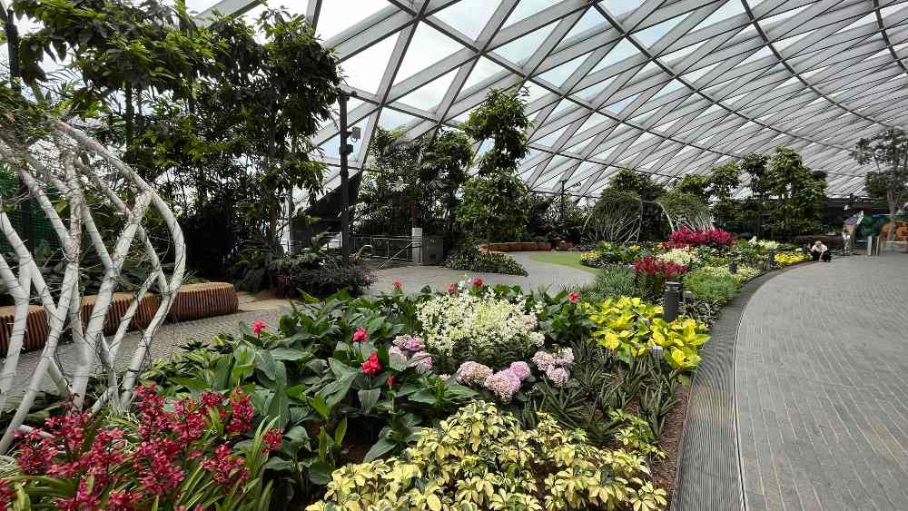 The Petal Garden at Canopy Park in Jewel Changi Airport is home to flowers from all around the world.