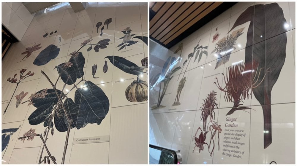 Spot these classic botanical artworks by NParks on the platform floor of Napier station, located nearby Botanical Gardens.