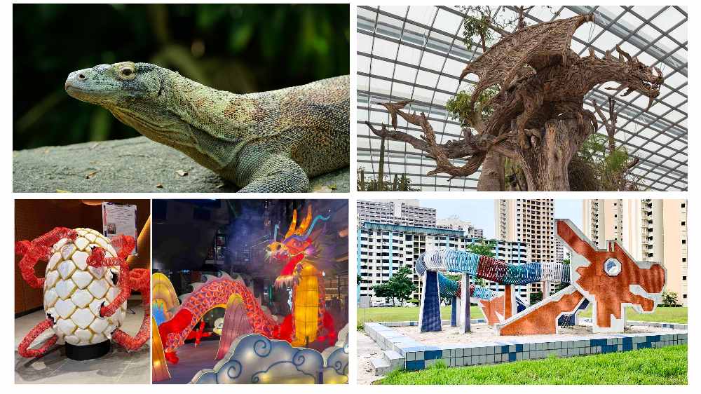 From "real-life" dragons at the Singapore Zoo to temple ornamentation, playgrounds and more, here are some places in Singapore where you can see dragons.