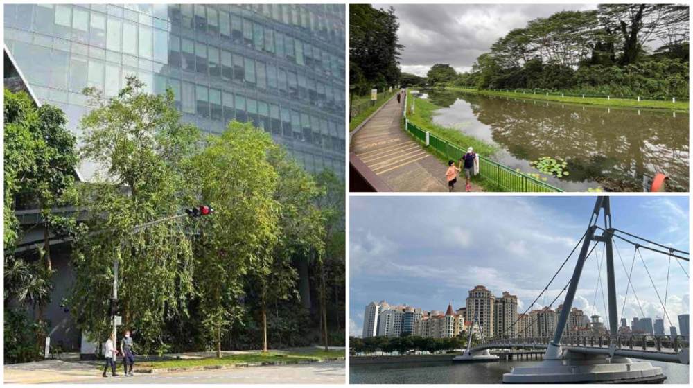 Designated car-lite areas in Singapore include one-north, Springleaf, and Tanjong Rhu.