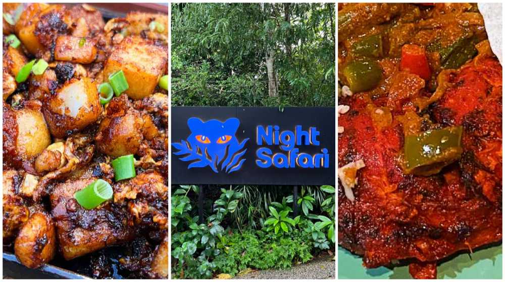 What to eat at Night Safari, and different food options.
