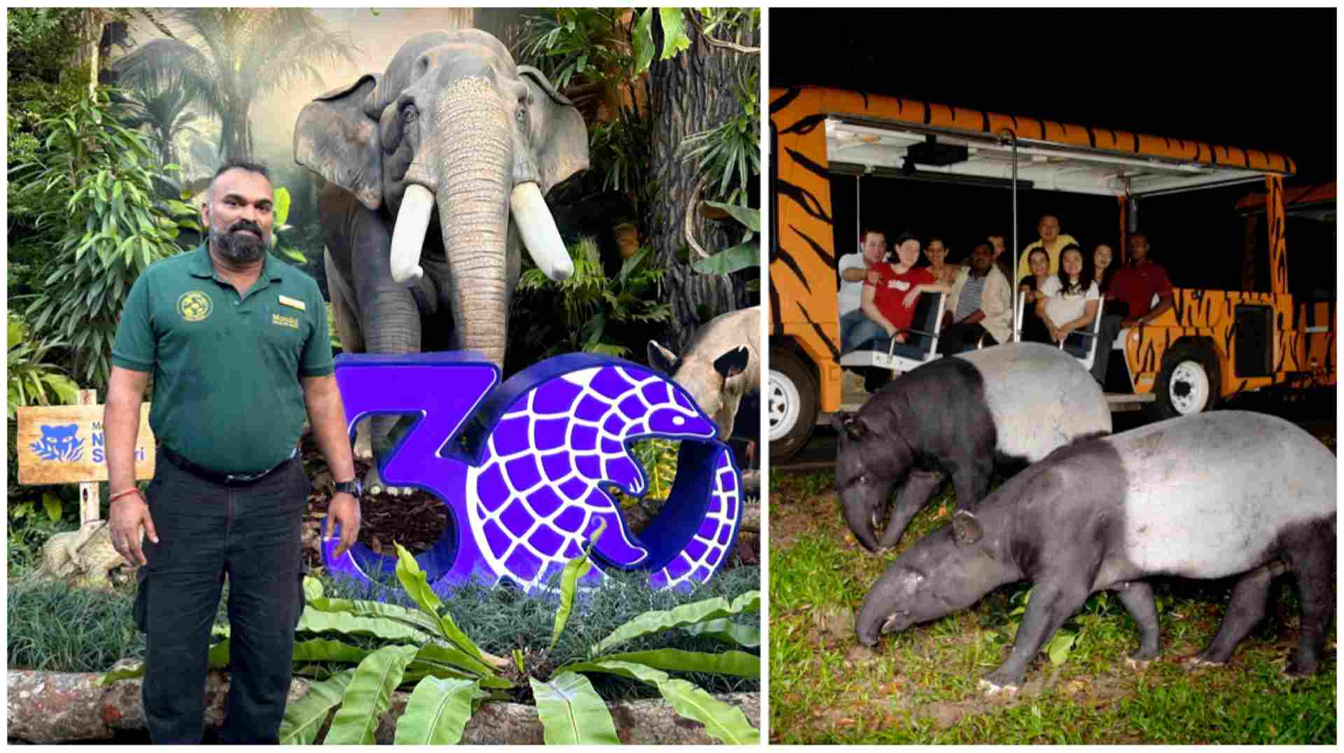 Gurusamy Permalo, Senior Curator, Mandai Wildlife Group, has been with Night Safari 30 years, since the nocturnal wildlife was opened in 1994.