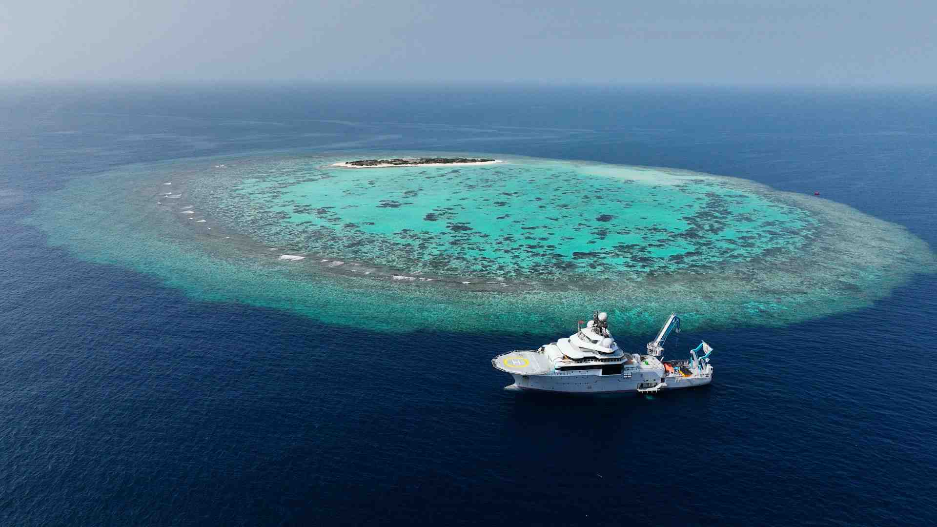 The ocean is our life source, and covers 70 per cent of planet Earth.
