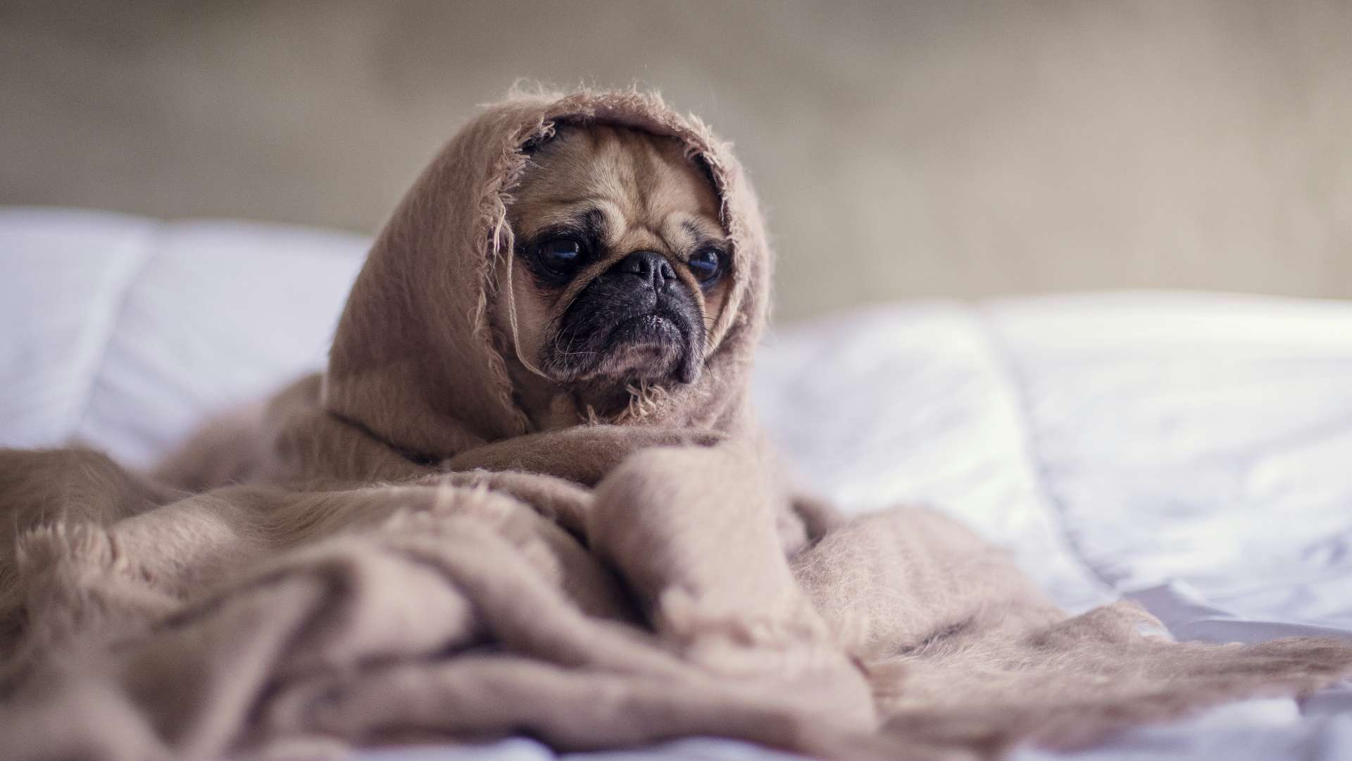 Proven tips to banish dread and start your week energised. Discover simple tricks to master your Sunday night ritual and make Mondays more manageable.