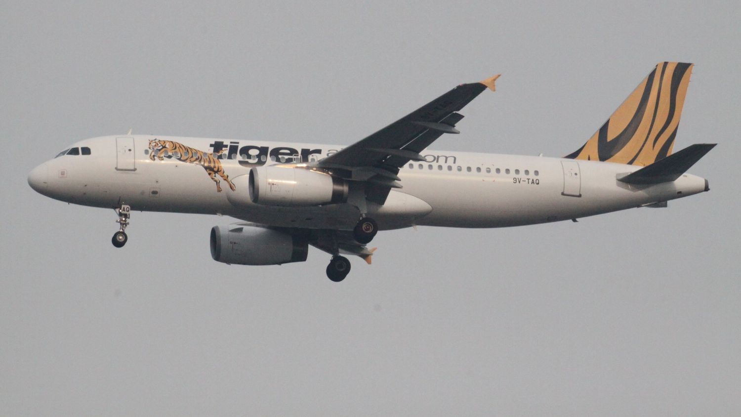 Tiger Airways flew into the crowded Southeast Asia budget airline scene, making its maiden flight on 15 September 2004.