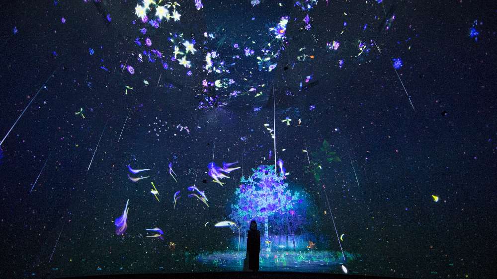 Bid farewell to the beloved Story of the Forest installation with National Museum of Singapore's 137th birthday festivities.
